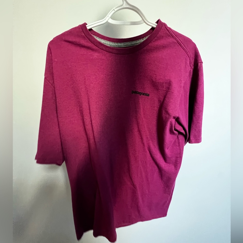 Patagonia T-shirt
